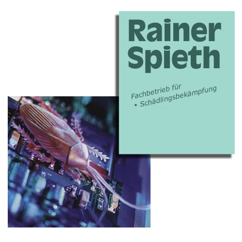 Rainer Spieth - Fachbetrieb für Schädlingsbekämpfung